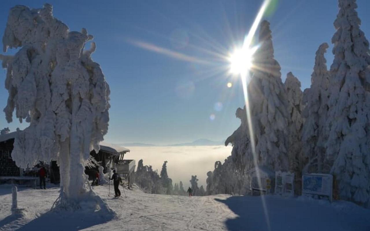 Wofahanslhof Eschlkam Bagian luar foto