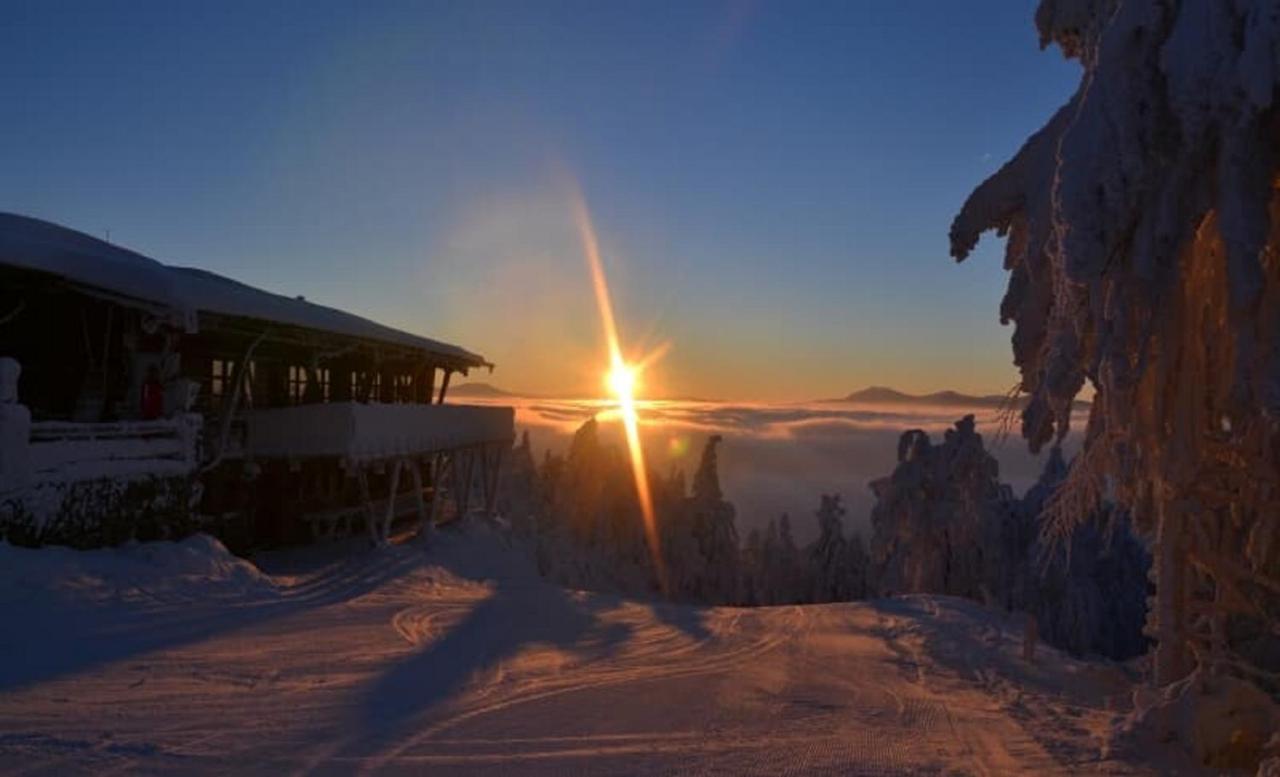 Wofahanslhof Eschlkam Bagian luar foto